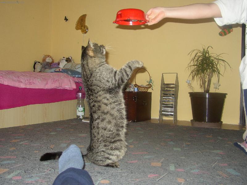 Foto: mispulin-dej mi to