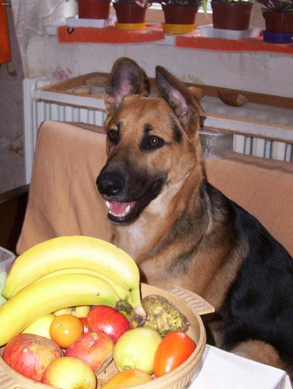 Foto: Argo�ek-Zdrav� v��iva