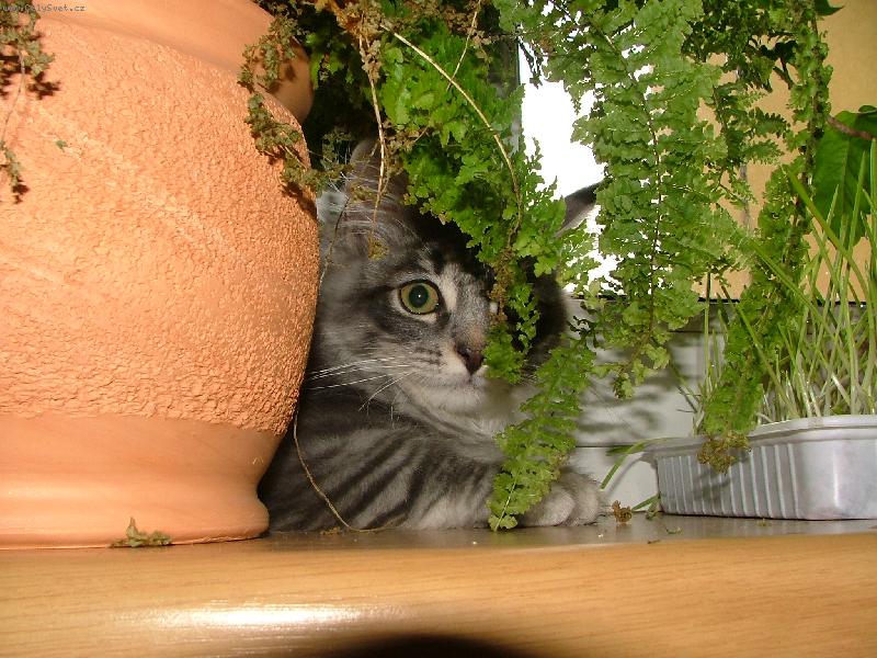 Foto: J� t� vyd�m