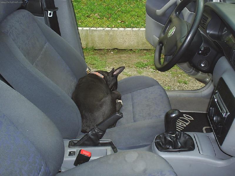 Foto: Ozzy-No co? Zah��v�m p�n��kovi m�sto