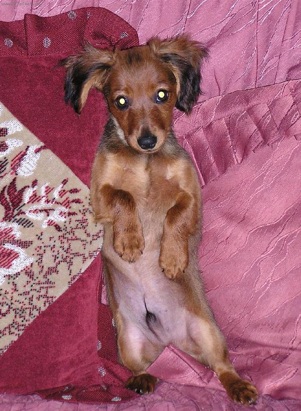 Foto: �ert�k-Sm�m prosit?