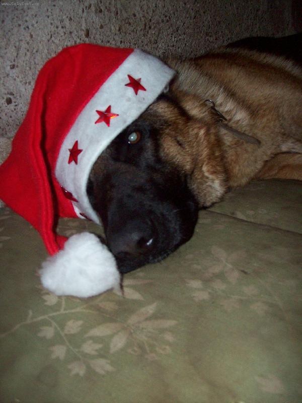 Foto: �epku dol�..-Kerry si koupila novou �epku!!