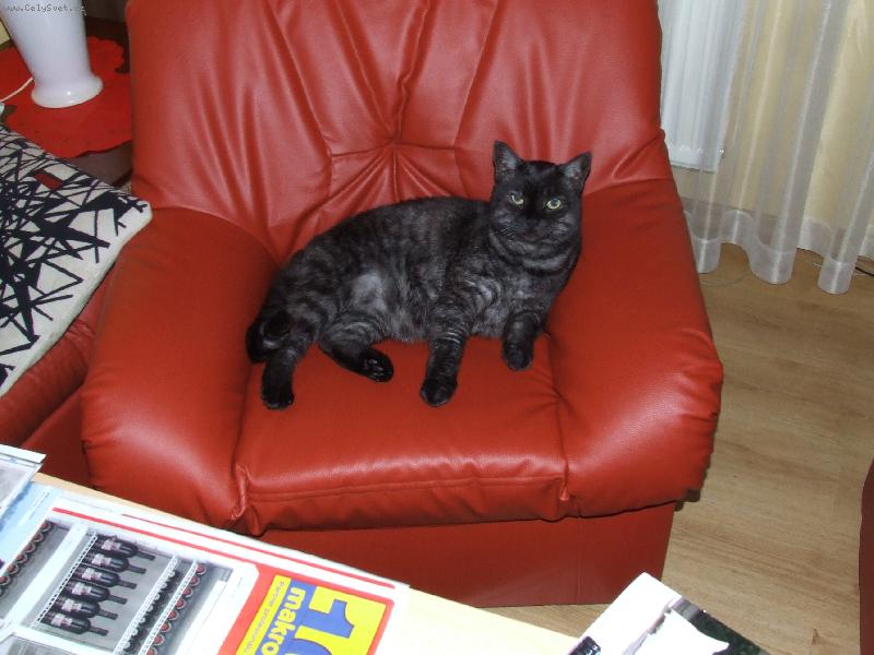 Foto: �e jsem ale fe��k