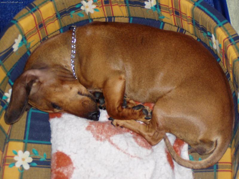 Foto: ja sp���mmm :D-mojee sladou�k� ag�� :D