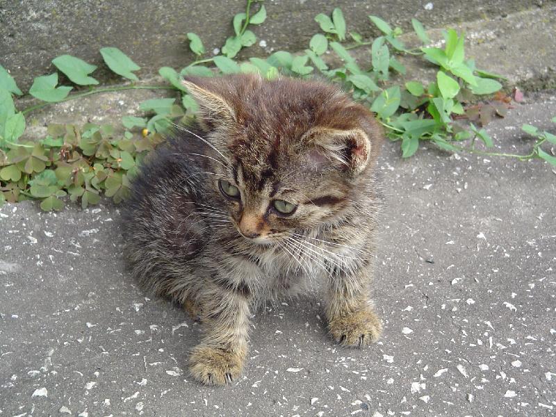 Foto: �O JE TO TAM???????????????