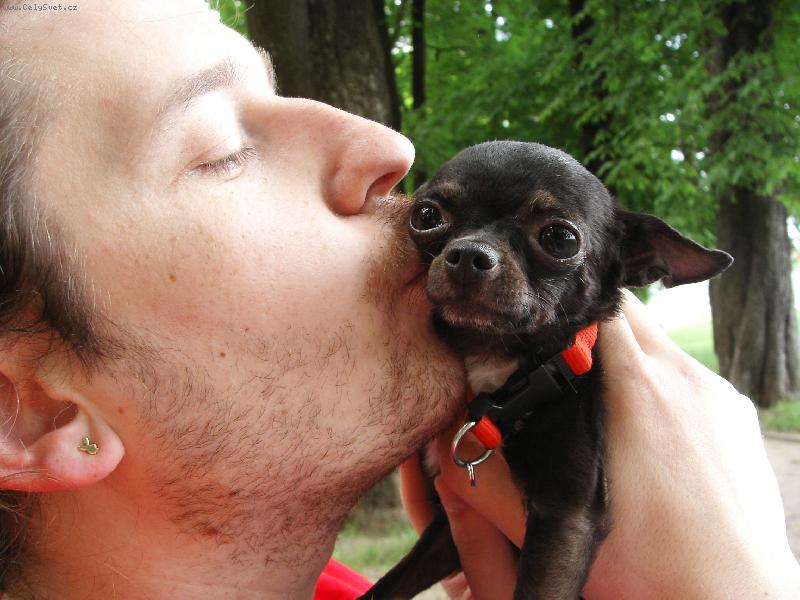 Foto: Jackson-3 ro�n� pes