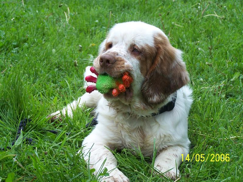 Foto: Lud�nek s pavou�kem-Lud�nek na v�stav�