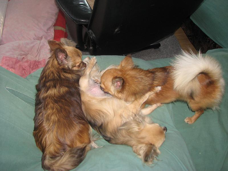 Foto: Gynekolog.vy�et�en�-Obsazen�: Gynekolog-Alva z T�eba�sk�ho �dol�