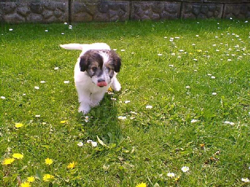 Foto: Bejby-U� b��m :o)