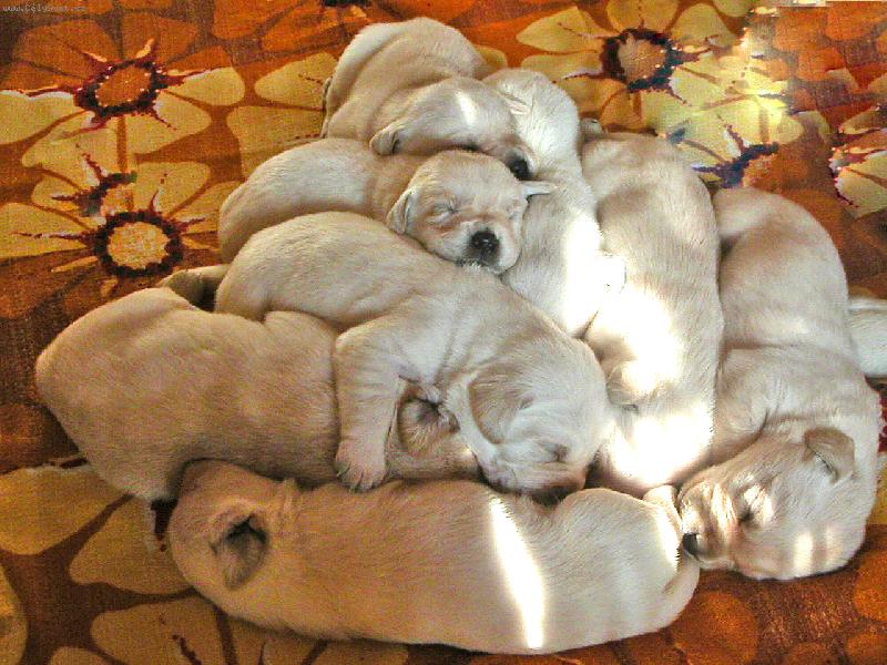 Foto: Pyramida �t�st�-...hlavn�,�e je tepl��ko...