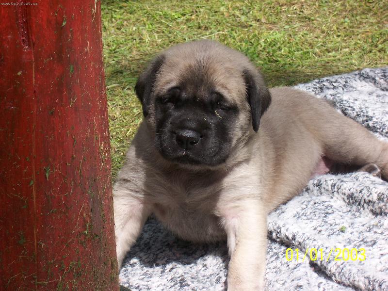 Foto: pohled na divn� sv�t