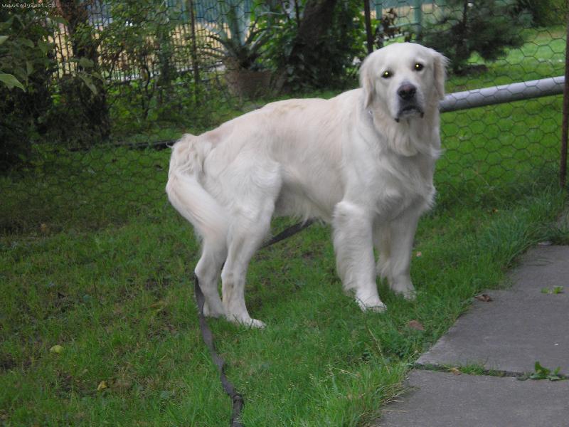 Foto: miluji zahr�dku-Co tam m�te?