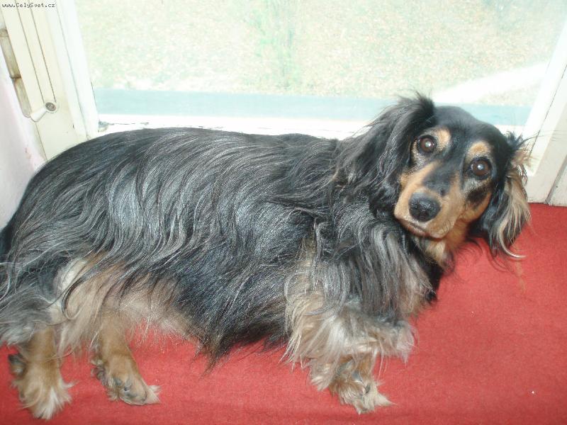 Foto: Leh�ro na okn�-To m� mus�te kv�li fotce budit!!!!!!