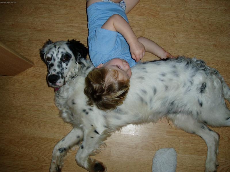 Foto: Harwey z Me�insk� h�jovny-...jsou prost� dvojka...