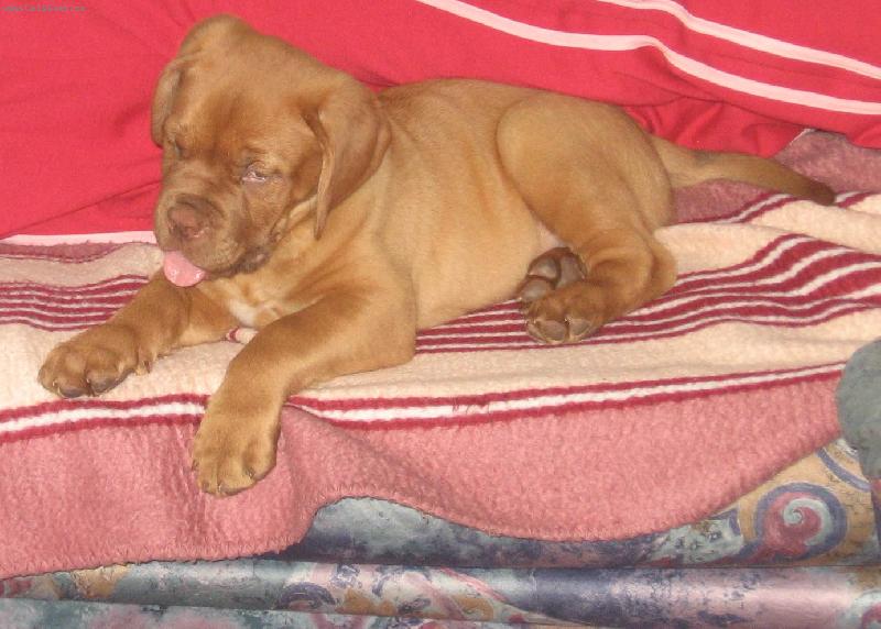 Foto: Mil��kov�-Baz��ek