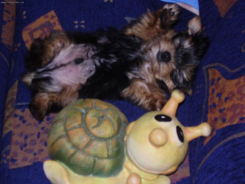 Foto: Jolly-pohodi�ka