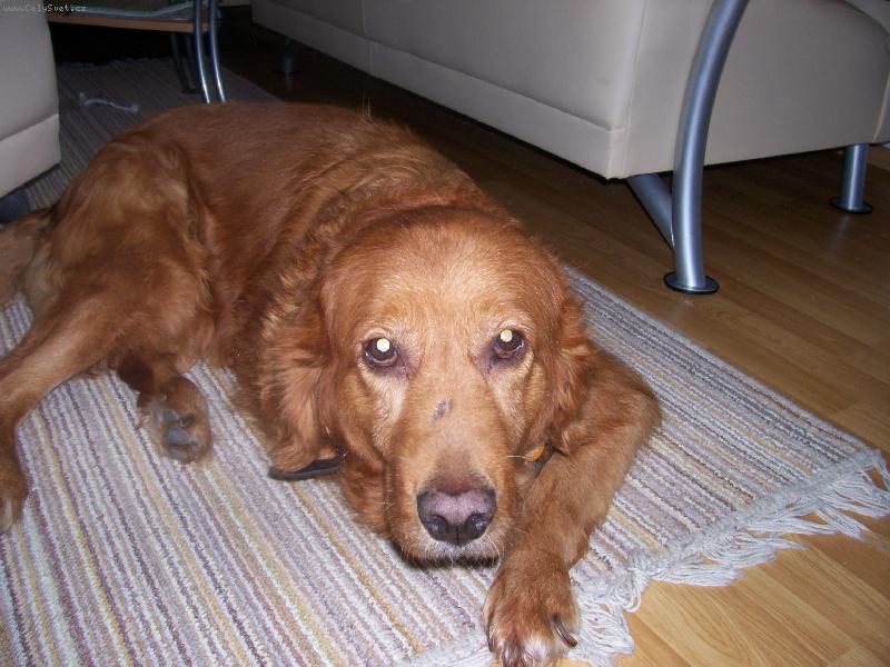 Foto: Na�e Mollynka