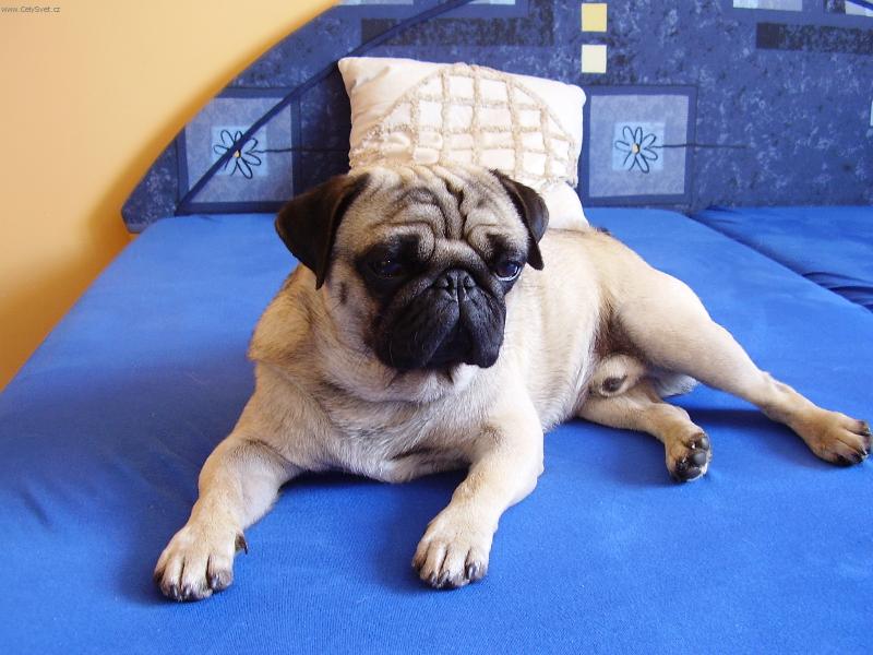 Foto: Max��ek-odpoledn� odpo�inek