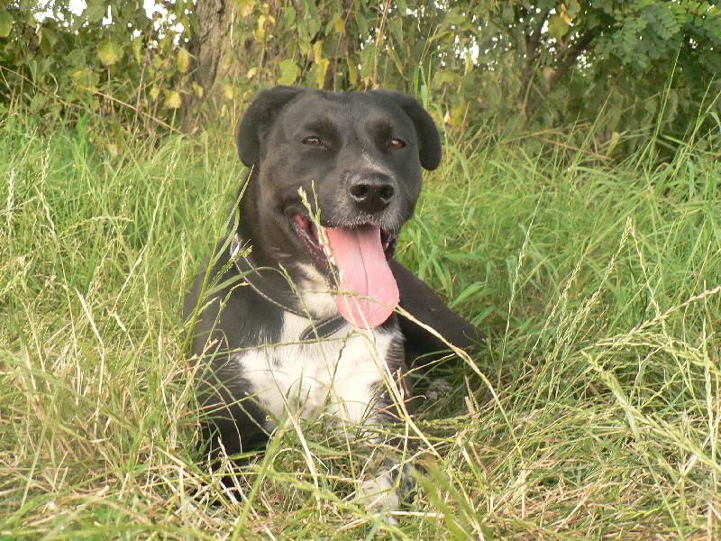 Foto: Brixi-tak je hodn�