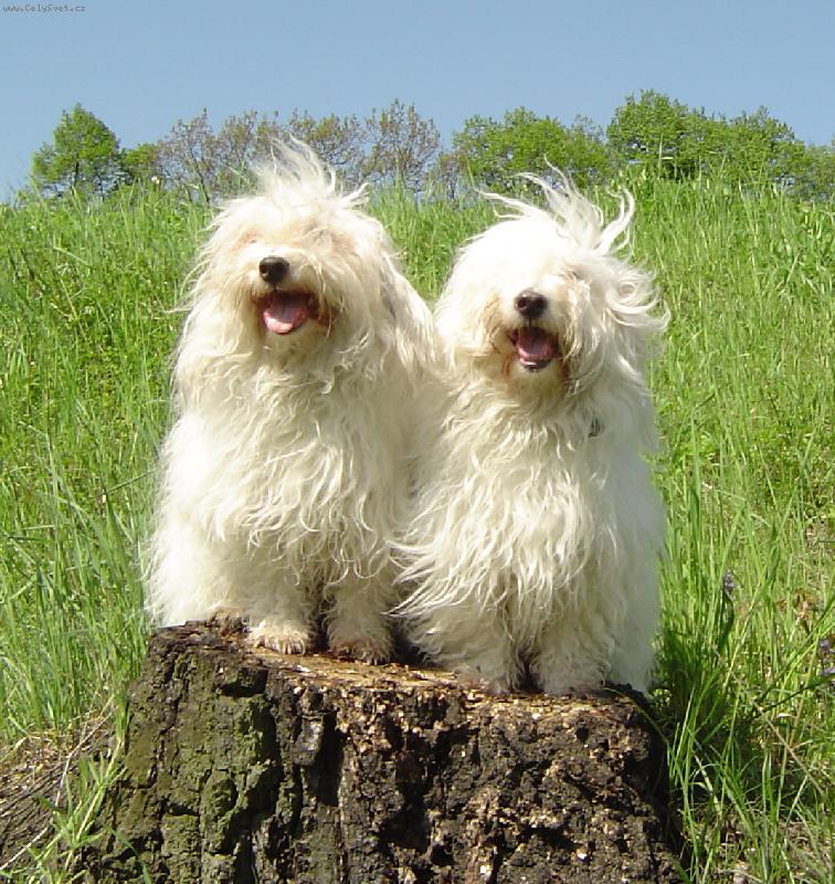 Foto: Matka s dcerou