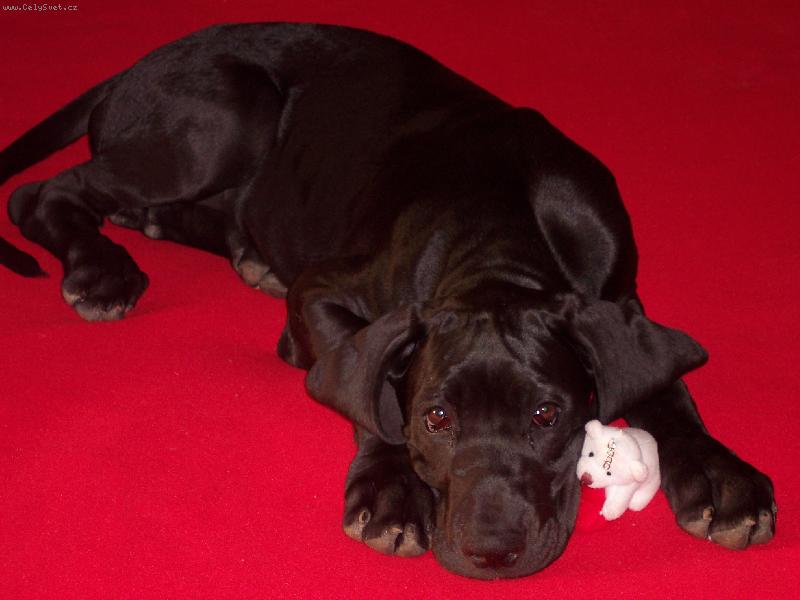 Foto: To je ���o!!!