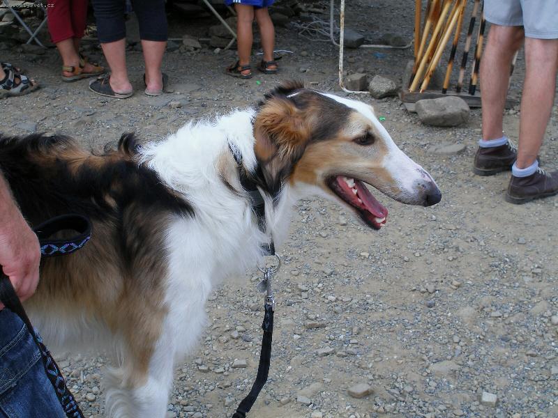 Foto: CHRT NA HOR�CH-MUS�M TO VYD�CHT !