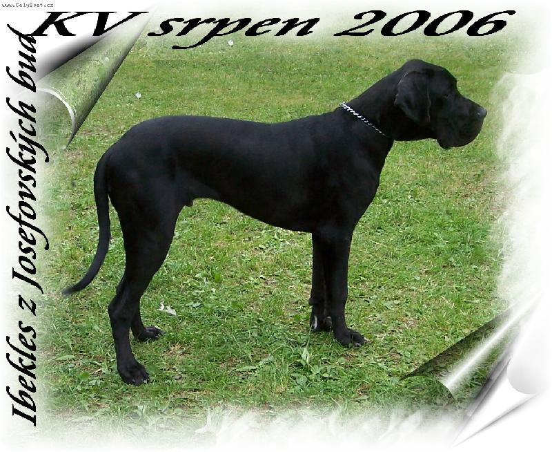 Foto: Ibekles z Josefovsk�ch bud