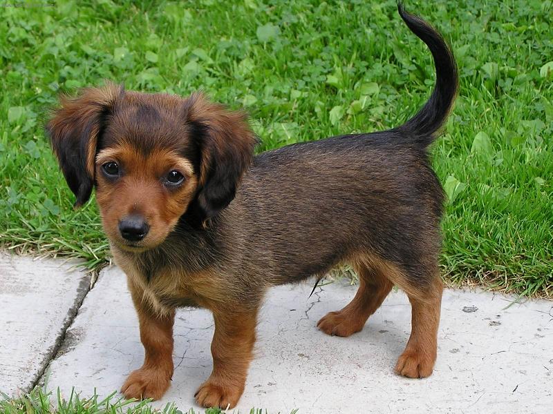 Foto: ..t�ta s m�mou jezev��ci a co budu j�?-7 t�dn�