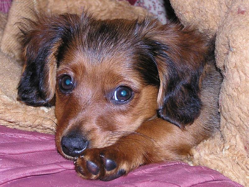 Foto: ..v pel�ku je kr�sn�...