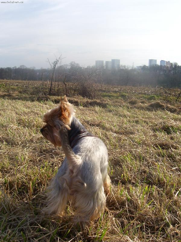 Foto: kouk�m........