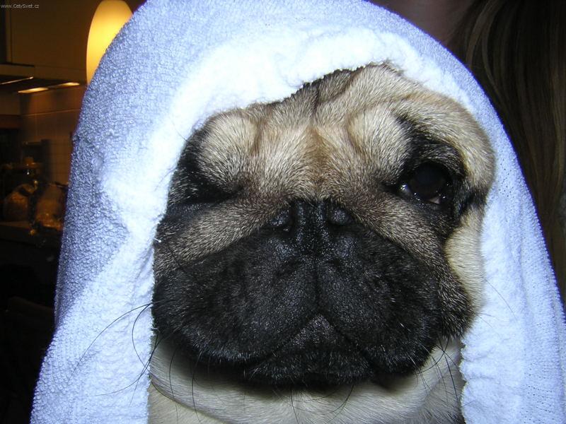 Foto: Uter�k-Deny s uter�kom