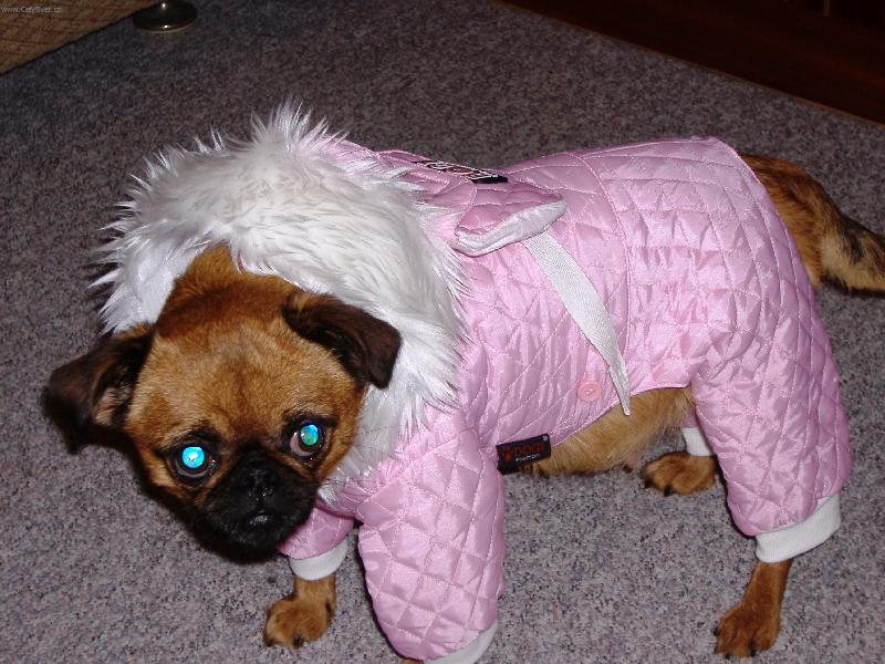 Foto: eskym��ek-zimn� oble�ek na�� Dorotky