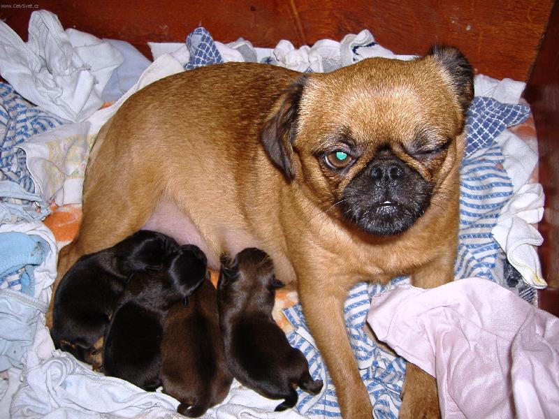 Foto: Mrk-Fo� to, mrk�m!