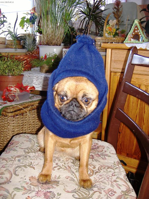 Foto: Dorotka v �epici-zachra�te m� !!!!