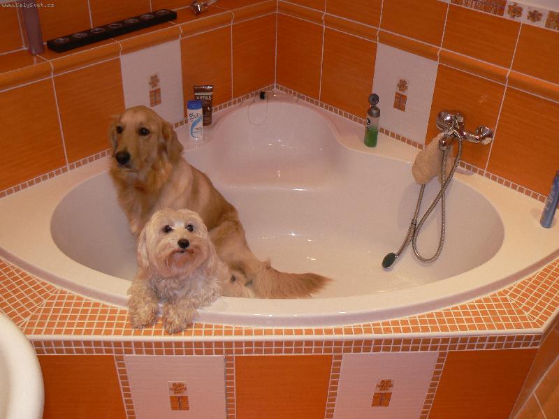 Foto: koupac� maniaci :-))