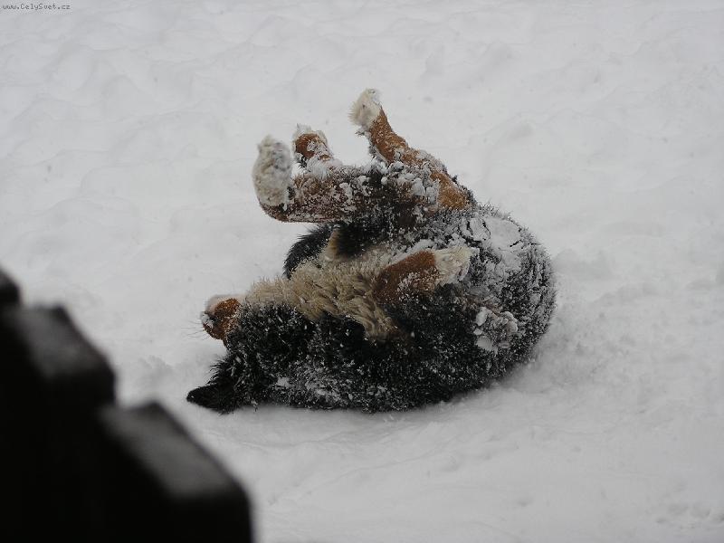 Foto: Hur� sn�ch!!!-To je par�da lehnout si na z�da....