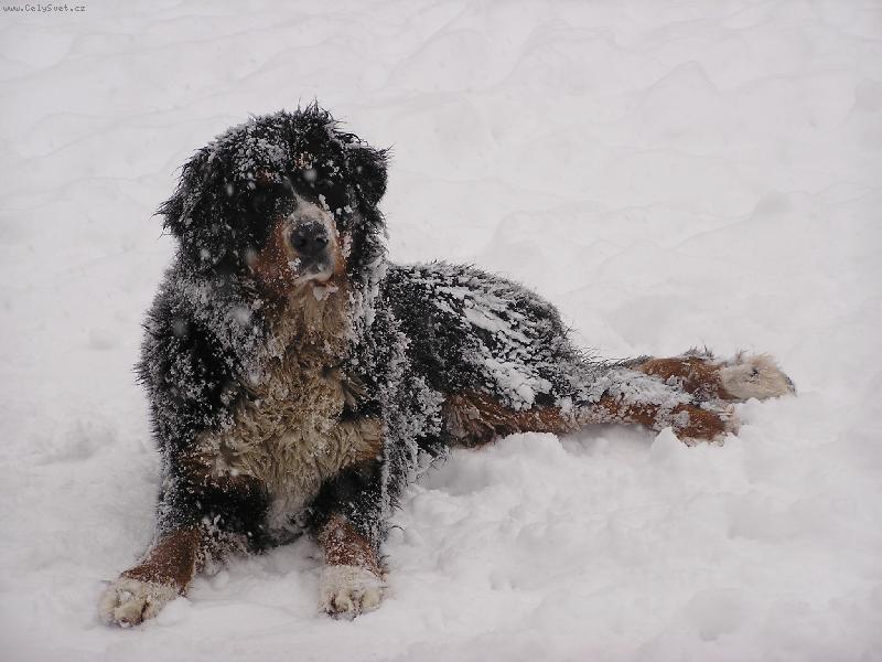 Foto: Kuk :)-Co kouk� jsem se trochu vyv�lela,no. :)