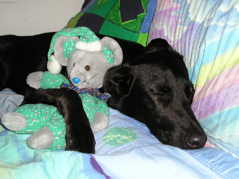 Foto: Dobrou !-Vo��ek Beta z Prahy