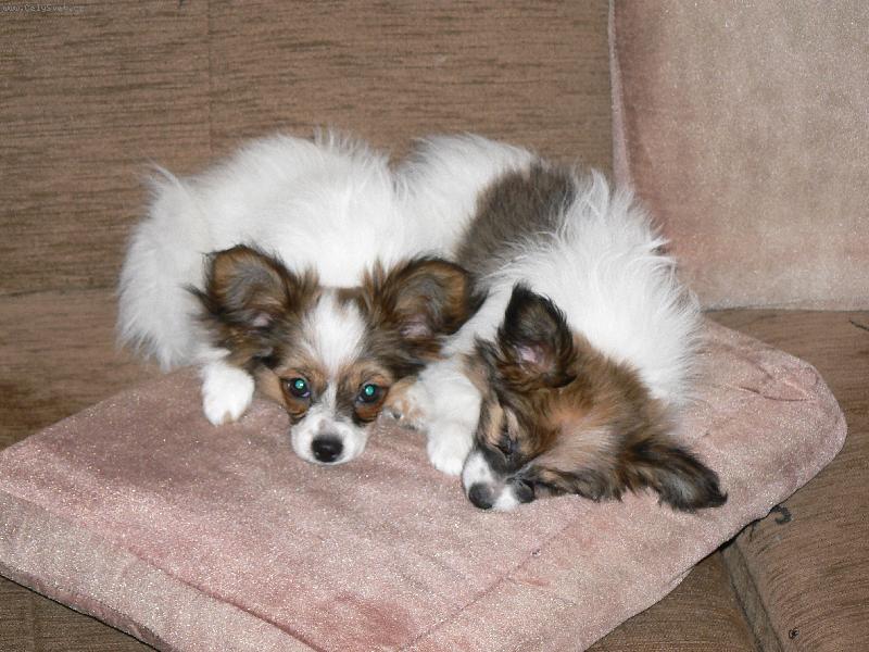 Foto: Gladys a Happy