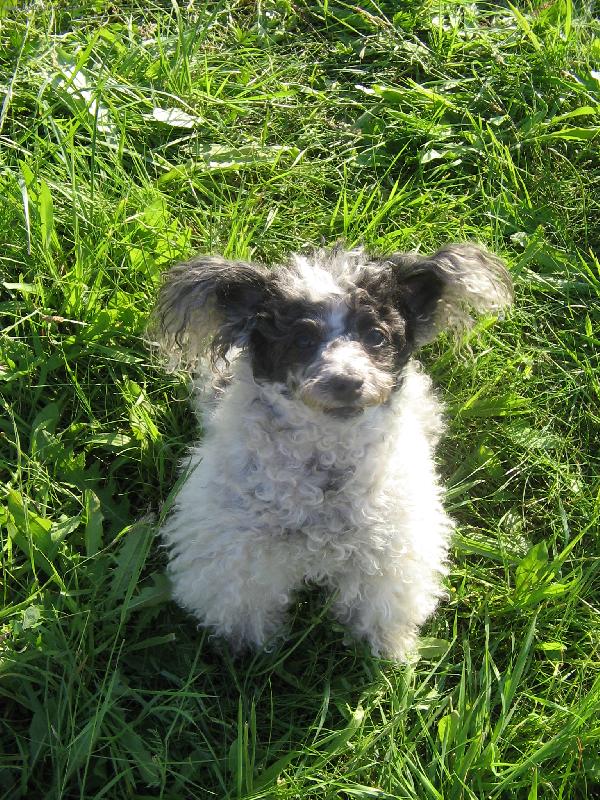 Foto: L�taj�c� Lili