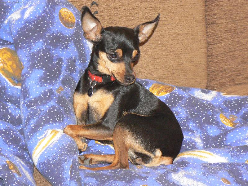 Foto: Na�e modelka