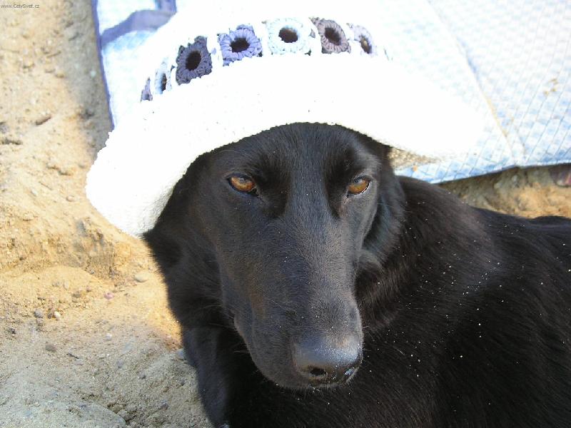 Foto: Opaluj�c� se madam-Vo��ek Beta z Prahy