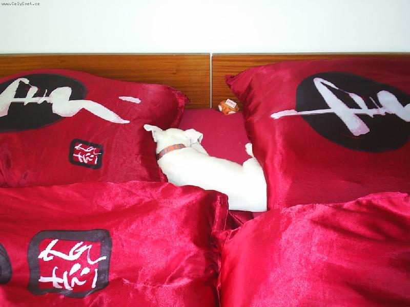 Foto: Danny-To m�m ale velk� pel�ek