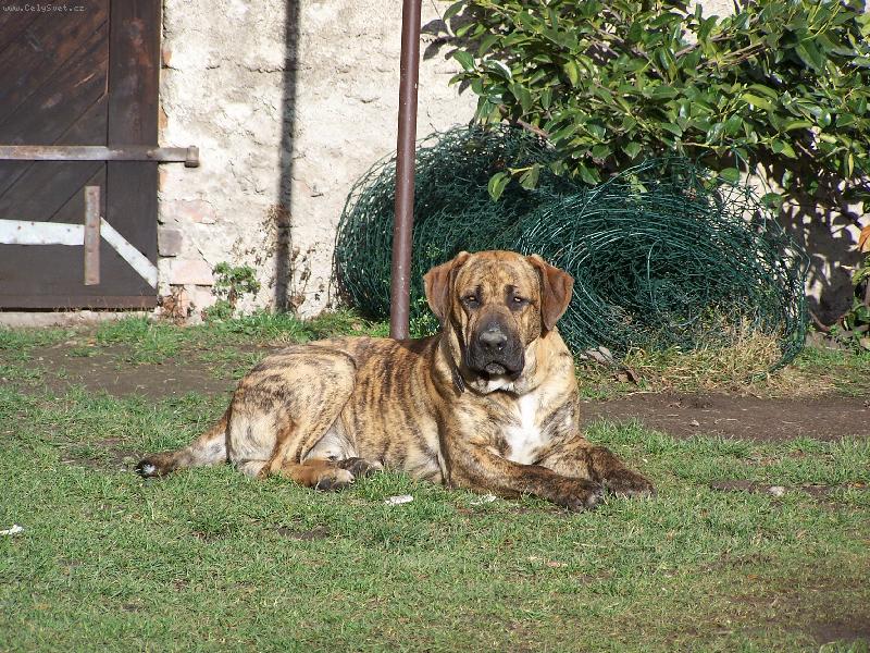 Foto: Fidel-Hl�d�m zuby nehty