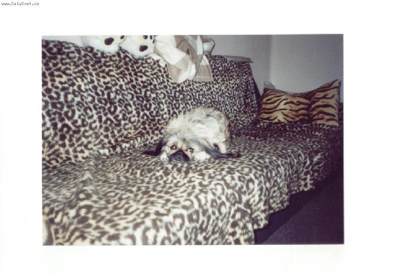 Foto: Nela-Co se d�je ???