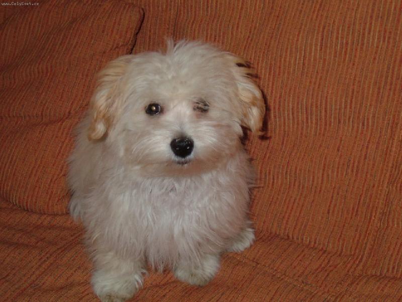 Foto: Laura 4 m�s�ce-Tak to jsem j�