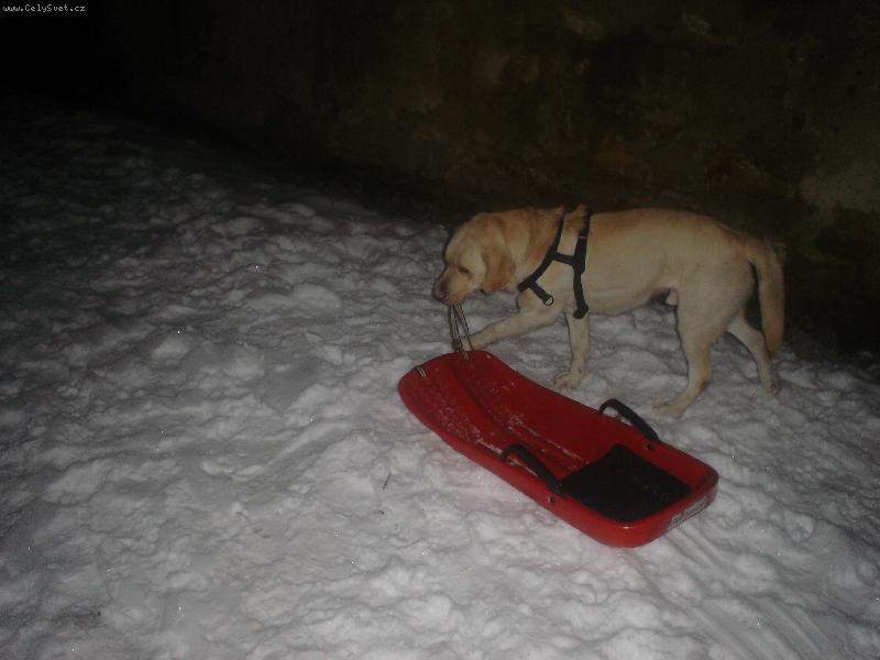 Foto: J� ten sn�h prost� miluju