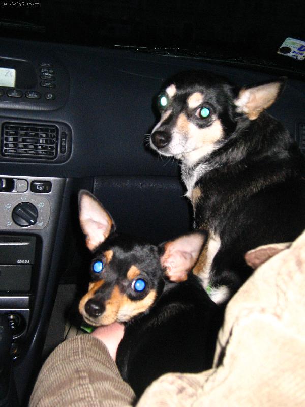 Foto: A jedem!-maminka s dcerou