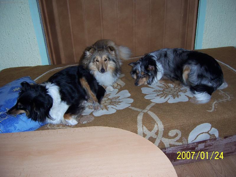 Foto: Na�e trio-to je ale pohoda