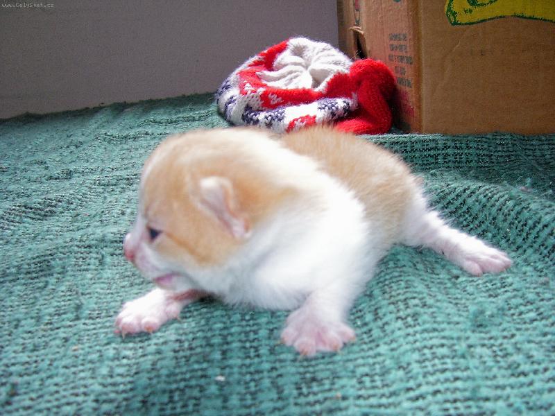 Foto: ...m�m�...-....malej, ale u�vanej....